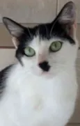 MARIE