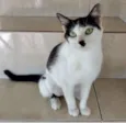 MARIE