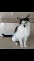 MARIE