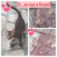 Brian