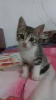 Lizi