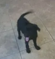 Não tem