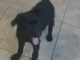 Não tem