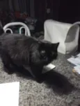 Lua