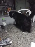 Lua