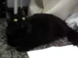 Lua
