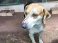 Linda