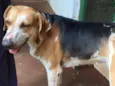 Linda