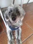 Bartholomeu
