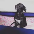 Nina