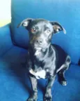 Nina
