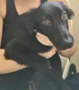 TIÃO
