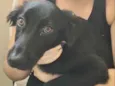 TIÃO