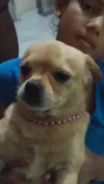 Milly