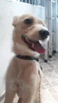 Mel