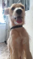 Mel