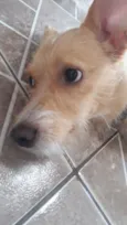 Mel