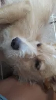 Mel