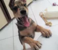 Juno