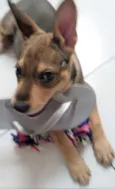 Juno