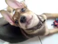 Juno