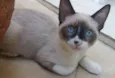 Oliver