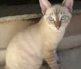 Óreon