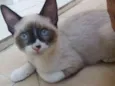 Oliver