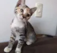 Ramona