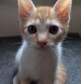 Ben