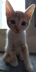 Ben
