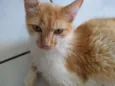 Manu
