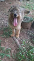 Susy