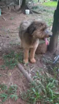 Susy