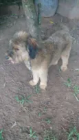 Susy
