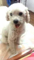 Tuti