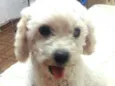 Tuti