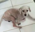 Tuti