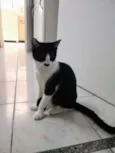 Júnior