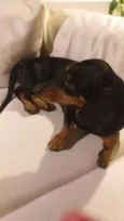 Nao sei