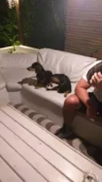 Nao sei