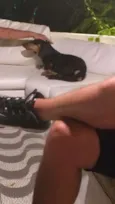 Nao sei