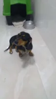Mel