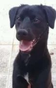 Marley