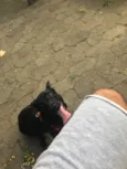 Lua