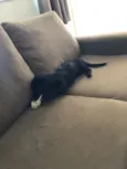 Lua