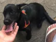 Lua