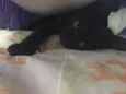 Não tem