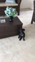 Maya