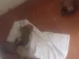 Indefinido